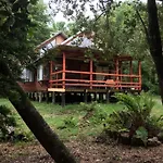 Agradable Cabana Inserta En Bosque Nativo