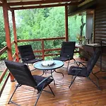 Agradable Cabana Inserta En Bosque Nativo