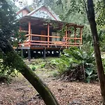 Agradable Cabana Inserta En Bosque Nativo