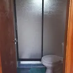 Agradable Cabana Inserta En Bosque Nativo
