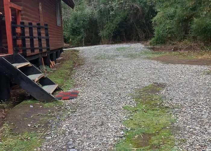 Agradable Cabana Inserta En Bosque Nativo