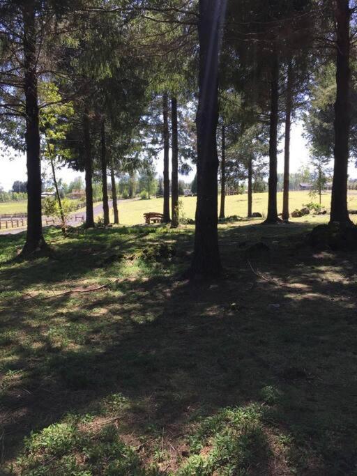 Casa de férias Agradable Inserta En Bosque Nativo Pucón